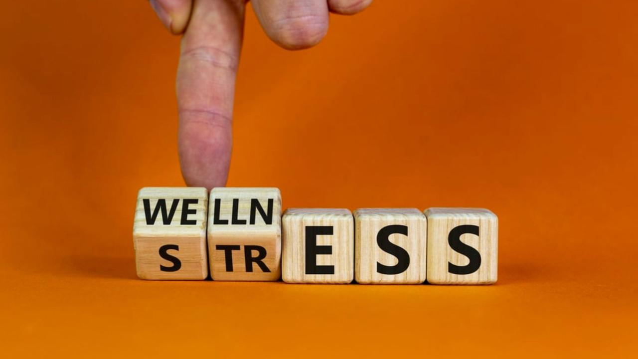 How to Manage Stress Effectively in a Busy Life