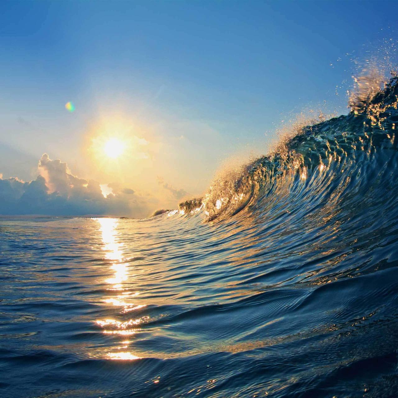 Calm - The #1 App for Meditation and Sleep