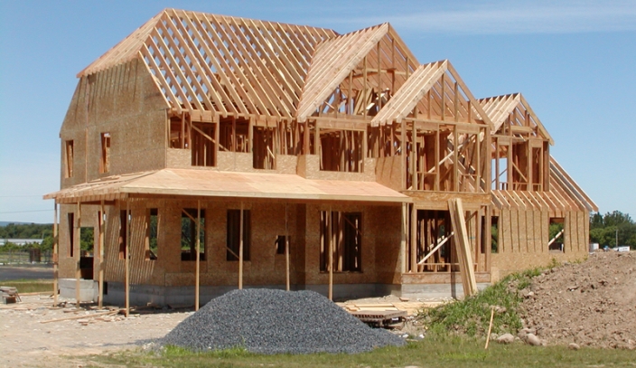 @build-a-birb on Tumblr